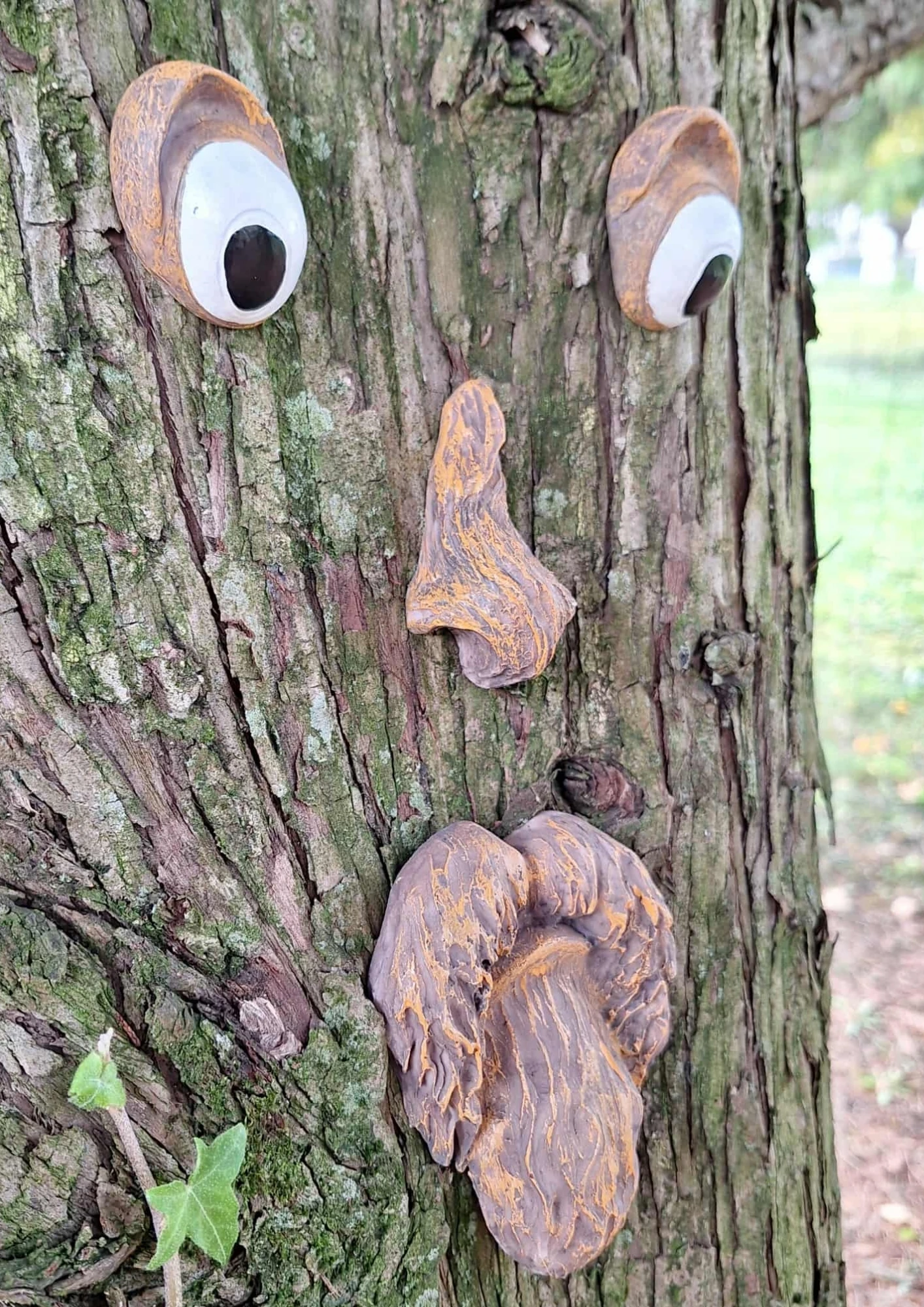 Déco visage rigolo - Fixation arbre effet enchanté ! Résine Durable